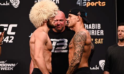 ufc 242 resultados|UFC 242: Khabib vs. Poirier .
